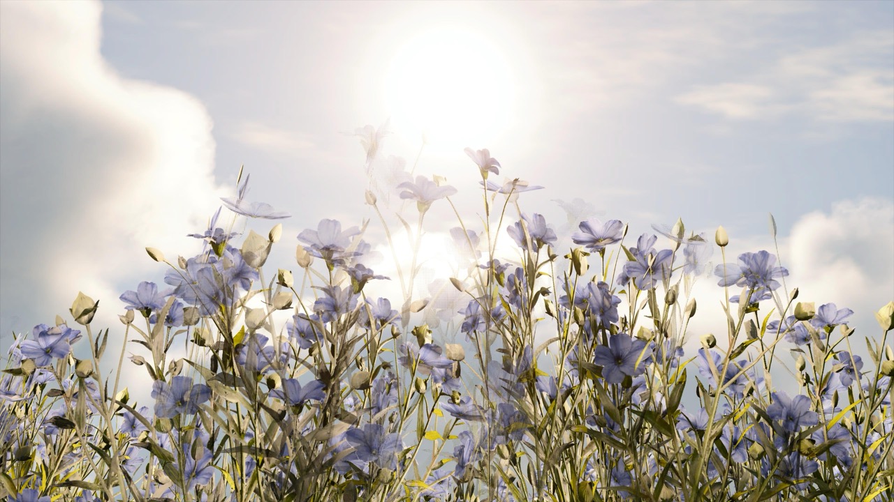 Studies on Breaking Immersion